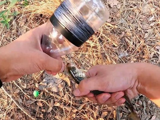 新手路亚钓鱼的技巧与炸线防护（教你如何避免路亚钓鱼时线材断裂的常见问题）