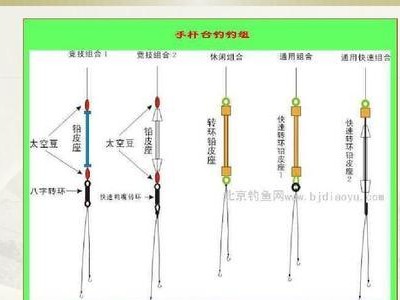 以路亚钓鱼（探索路亚钓鱼技巧，省时省力又高效）
