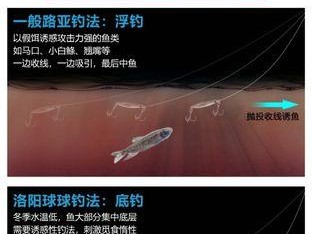 探讨路亚钓鱼中使用抛投器的必要性与优势(提升路亚钓鱼效率的利器——抛投器的使用技巧与注意事项)