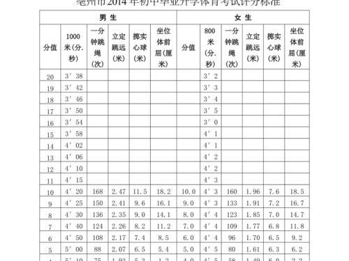 乒乓球训练表格（以乒乓球每日训练表格规划你的成长之路）