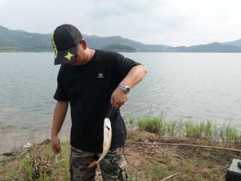 以升钟湖路亚钓鱼收费问题探讨（详解升钟湖路亚钓鱼收费政策，解答常见疑问）