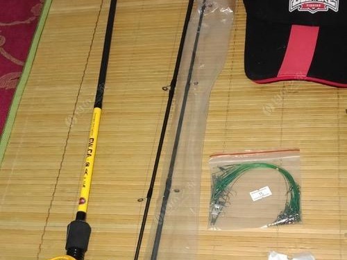 探索以路亚竿实战钓鱼之最佳档位选择（了解以路亚竿的档位选用技巧，提升钓鱼效果）