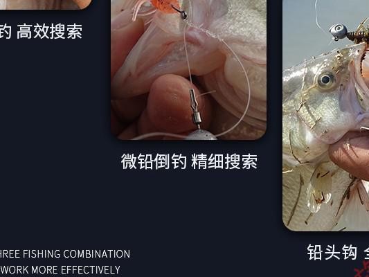 探秘路亚黑坑，用什么假饵钓鱼最有效？（深入了解路亚黑坑的钓鱼技巧和最佳假饵选择）