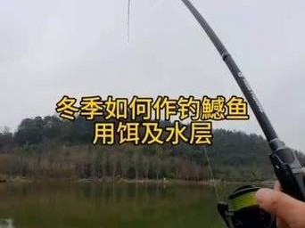 探秘以路亚钓鱼的最佳时间选择（挖掘路亚钓鱼的时间窍门，让你的钓鱼收获倍增）