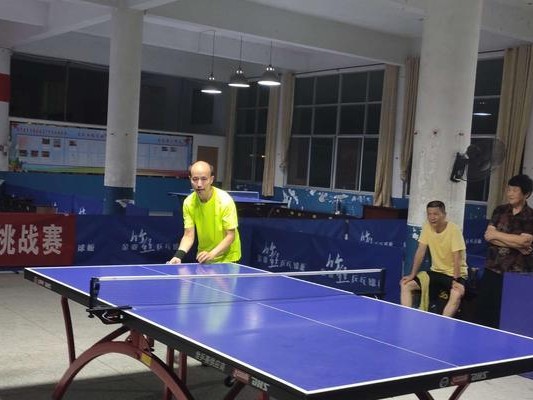 掌握挑战台球乒乓球的成功技巧（提升球技，征服台球乒乓球赛场）