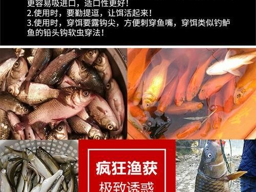 黄河钓鱼之路亚饵的选择（探寻黄河钓鱼的最佳饵料和技巧）