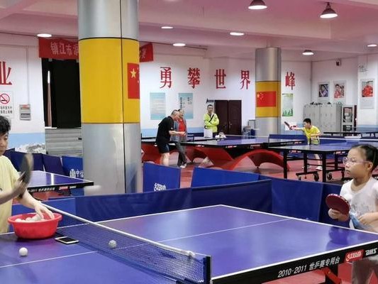 打乒乓球技巧全解析（从零开始，一步步学习乒乓球的正确技巧，提升击球水平）