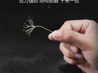 如何选择适合路亚竿钓鱼的鱼线？（关键要素和技巧让你提升钓鱼体验）