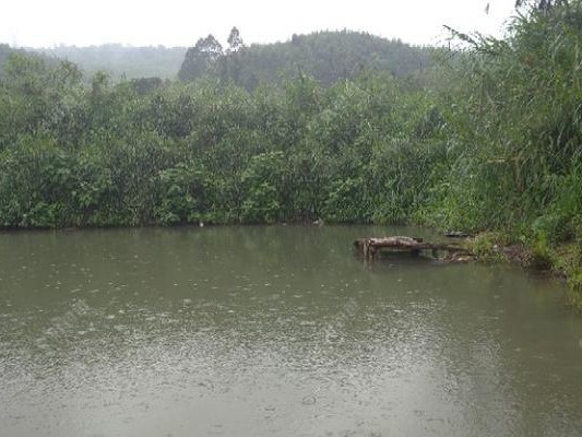 高温下雨是否适合钓鱼？（探究路亚钓鱼在连续高温下雨中的可行性）