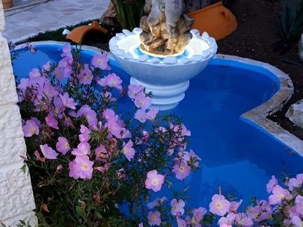 游泳池中的花束拍摄技巧（如何在游泳池中拍摄出令人惊艳的花束照片）