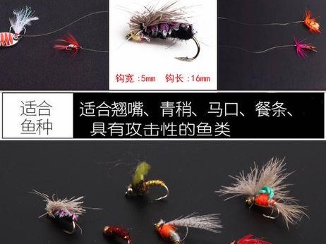 探秘路亚钓鱼之饵料选择（江河里的钓鱼必备，路亚饵料解析与使用技巧）