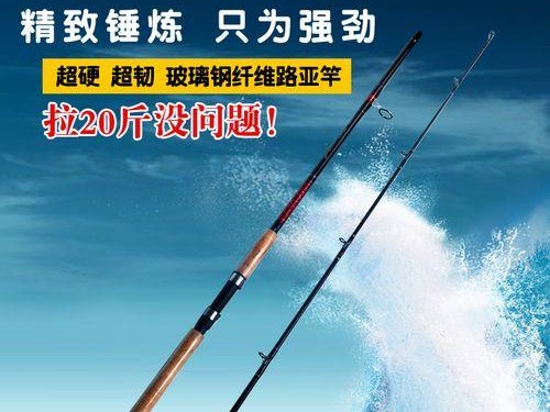 如何选择适合路亚海钓的钓鱼竿（为您推荐最佳路亚海钓工具和技巧）