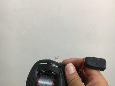 轻松入门（掌握关键技巧，成为专业路亚钓手！）