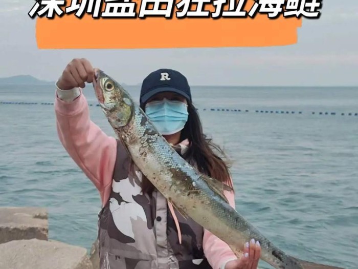 用路亚竿钓鱼探寻大海的乐趣（从海岸线到深海，路亚竿的魅力与技巧）