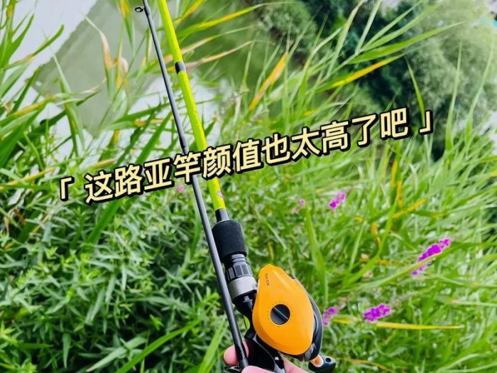海边钓鱼，选择合适的路亚竿是关键（如何选择适合海边钓鱼的路亚竿？）