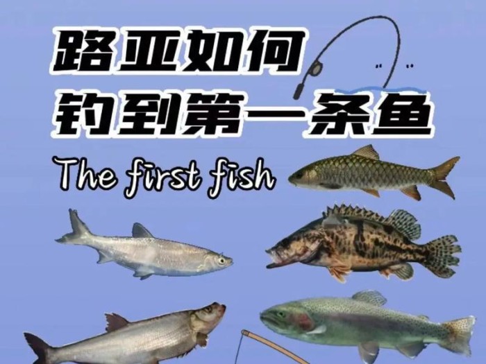 北方路亚钓鱼技巧新手入门（北方路亚钓鱼技巧分享，让你成为钓鱼高手）