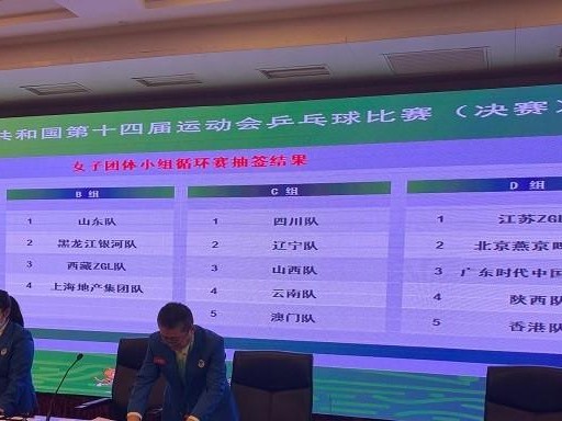 乒乓球抽签人员要求与流程详解（提高比赛公平性的关键步骤与注意事项）