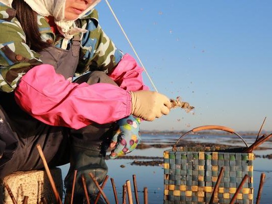 河边钓鱼之用路亚竿钓上河虾的技巧（掌握正确技巧，轻松钓上美味的河虾）