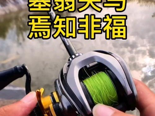 小白也能轻松玩转路亚钓鱼的饵料秘籍（一步步学习，让你成为路亚钓鱼高手）