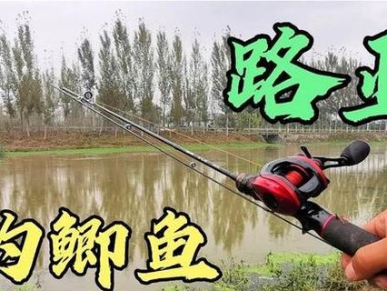 探秘路亚钓鱼玩法（颠覆传统，引领钓鱼新潮流）