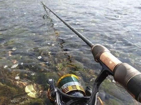 以路亚竿能否在浮钓鱼中发挥作用？（探讨在浮钓鱼活动中使用路亚竿的可行性和效果）