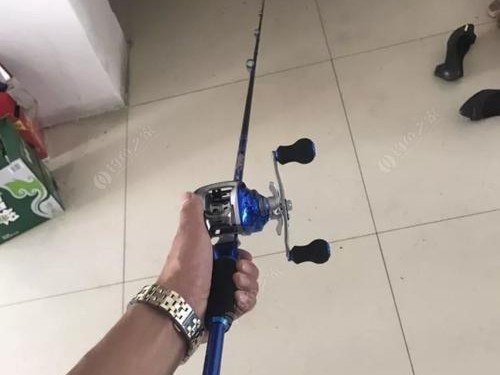 新手入门路亚竿钓鱼指南（选择合适的路亚竿以及钓鱼技巧，轻松开启路亚钓鱼之旅）