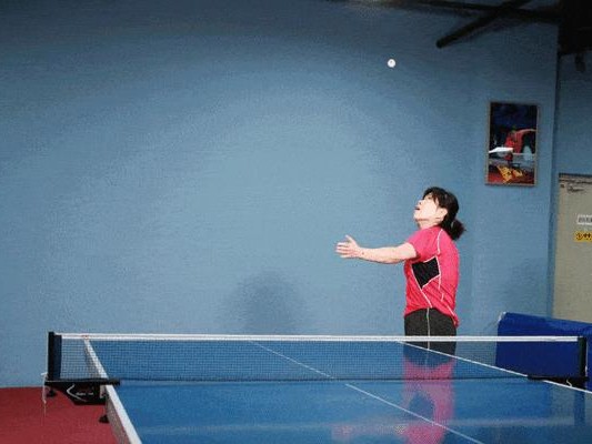 乒乓球学习指南（掌握乒乓球技巧的关键要点）