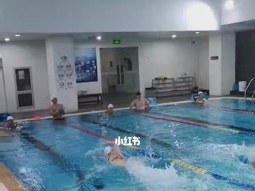 学游泳拿证的技巧（掌握正确的学习方法，高效拿证）