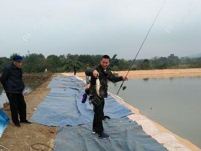 探寻路亚鱼塘的钓鱼技巧（钓鱼达人分享的路亚鱼塘钓鱼心得）