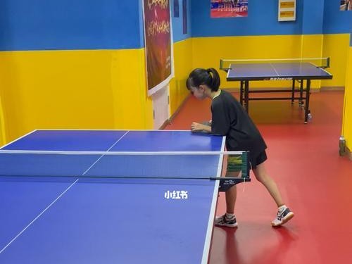乒乓球，学习的乐趣与成长（挥拍如诗舞如蝶，乒乓球迷的热血战斗）