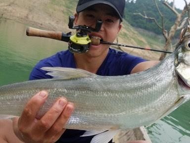 河边用路亚钓鱼的技巧与心得（提高钓鱼成功率，享受钓鱼乐趣的绝佳选择）