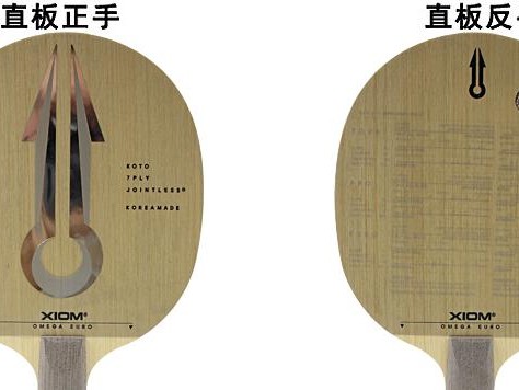 如何选择适合自己的反手乒乓球底板（从材质到手感，了解关键因素，提升反手乒乓球水平）