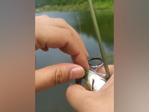 解决路亚钓鱼线缠绕问题的有效方法（一招告别路亚钓鱼线缠绕，让你的钓鱼更加畅快）