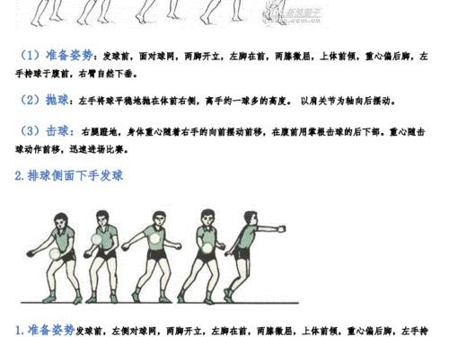 排球垫球动作要领（掌握正确的排球垫球技巧，提高球队战术执行能力）