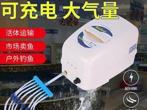 提升路亚钓鱼成功率，氧气泵是必备装备吗？（探讨氧气泵在路亚钓鱼中的作用和优势）