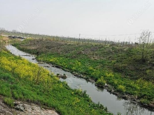顺德勒流钓鱼路亚野钓地点指南（探索勒流，享受钓鱼之乐）