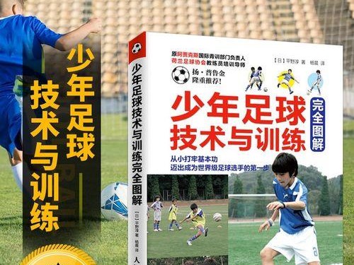 踢足球的脚法和技巧（掌握关键技巧提升足球水平）