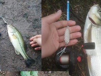 掌握路亚钓鱼竿上饵技巧，让你提高钓鱼成功率（以路亚钓鱼竿怎样上饵好用的技巧与经验分享）