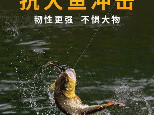 禁止路亚钓鱼政策的实施及对渔民生活的影响（保护渔业资源，但需平衡渔民权益）