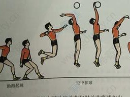 如何正确进行排球发球脚步动作（掌握排球发球关键，提高技巧水平）