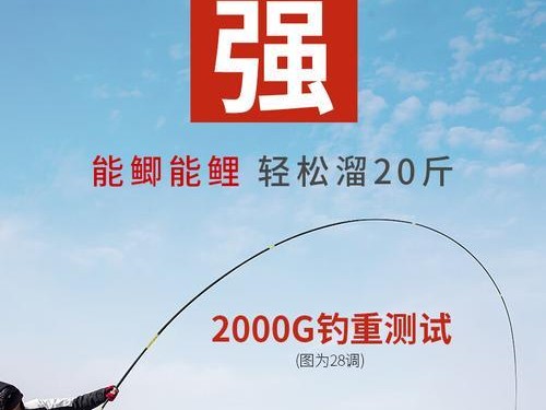 路亚手竿钓鱼饵全攻略（掌握关键技巧，成为高手钓鱼必备）