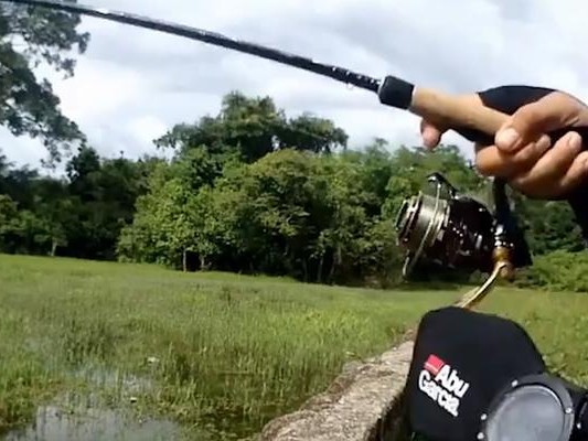 揭秘钓鱼高手玩路亚的技巧与心得（如何成为一名高水平的路亚钓鱼爱好者）