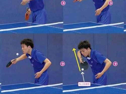 乒乓球发力技巧解析——以拉下旋为主题（掌握乒乓球拉下旋发力技巧的关键要点）