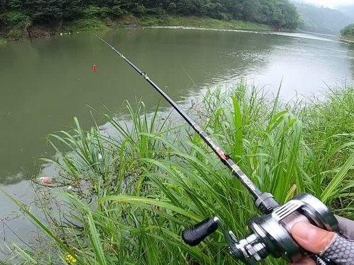 探秘以路亚在山里钓鱼的魅力（山水间的黄金捕手，以路亚技巧让你一网打尽）