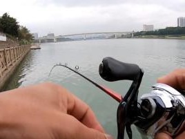 冬至后钓鱼时间段的选择与技巧（寒冷冬季的路亚钓鱼，时间段是关键！）