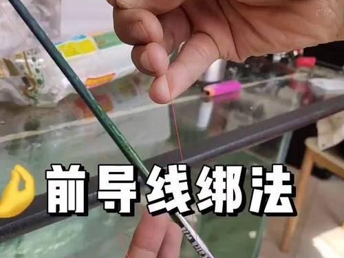如何选择适合的路亚竿钓鱼线？（钓鱼线几号才合适？）