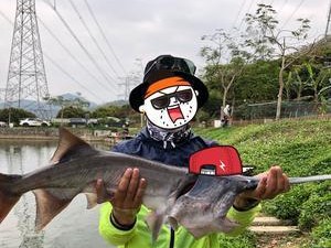 探讨“以路亚钓鱼百万粉丝”的真实性（揭秘网络红人以路亚钓鱼背后的真相）