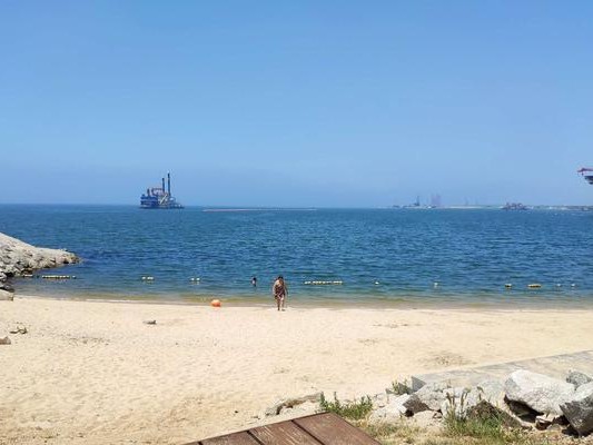 游泳新手下海技巧大全（从零基础到游泳高手，轻松掌握游泳技巧）