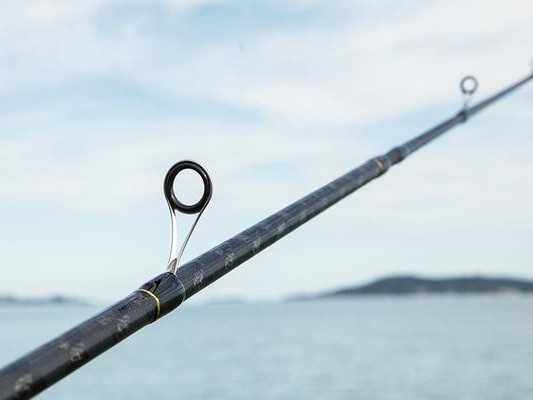 海钓之路亚杆，钓鱼好帮手（探究海里面使用路亚杆钓鱼的优势与技巧）