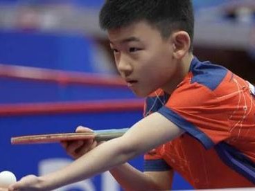 男子练乒乓球球感受（追寻技艺乐趣的乒乓之旅）
